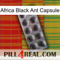 Africa Black Ant Capsule 30